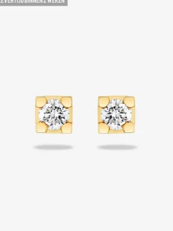 DIAMANTEN OORBELLEN